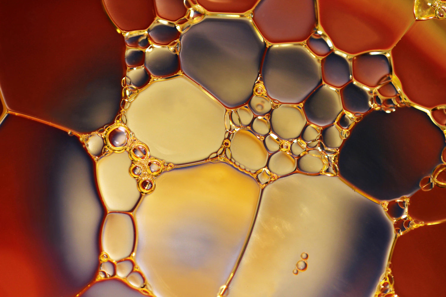 Alpha Hydroxy Acids (AHAs): What are they and their skincare benefits?